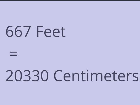 667 FEET TO CM