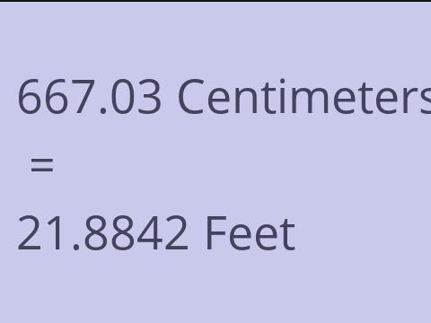 667.03 CM TO FEET