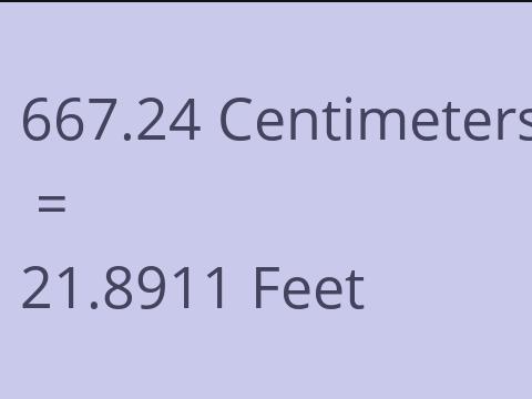 667.24 CM TO FEET