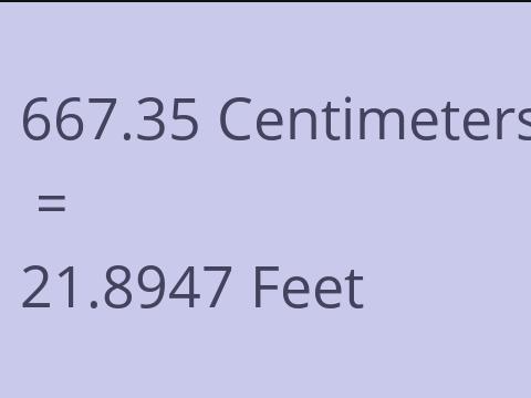 667.35 CM TO FEET