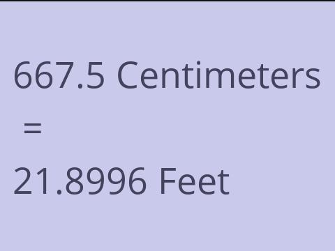 667.5 CM TO FEET