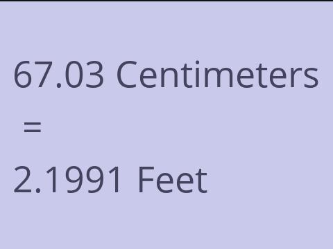 67.03 CM TO FEET