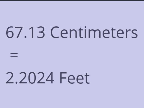 67.13 CM TO FEET