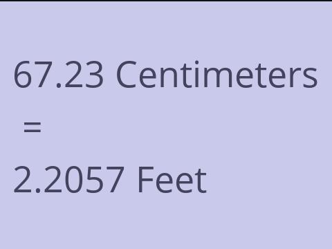 67.23 CM TO FEET