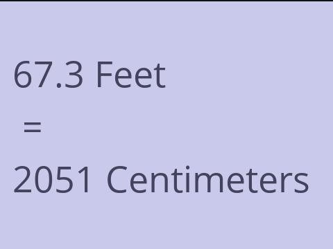 67.3 FEET TO CM