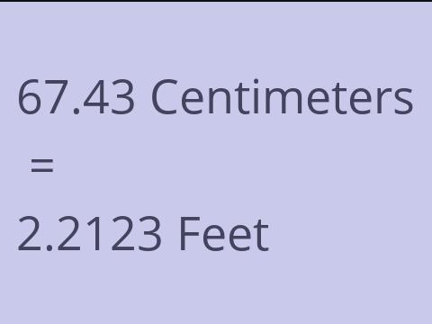 67.43 CM TO FEET