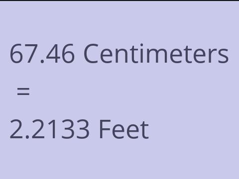 67.46 CM TO FEET