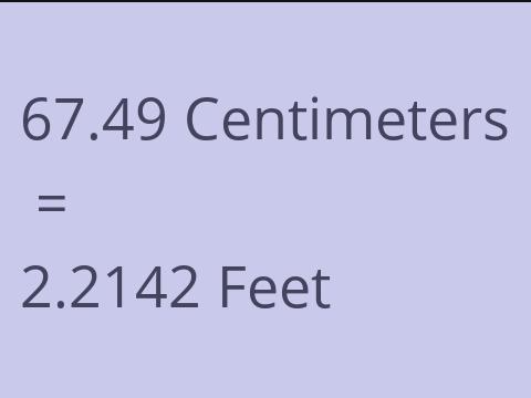 67.49 CM TO FEET