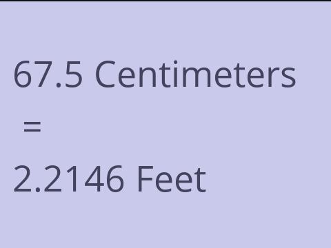 67.5 CM TO FEET