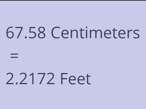 67.58 CM TO FEET