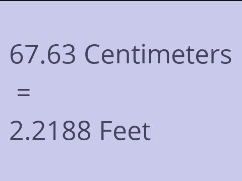 67.63 CM TO FEET