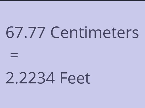 67.77 CM TO FEET