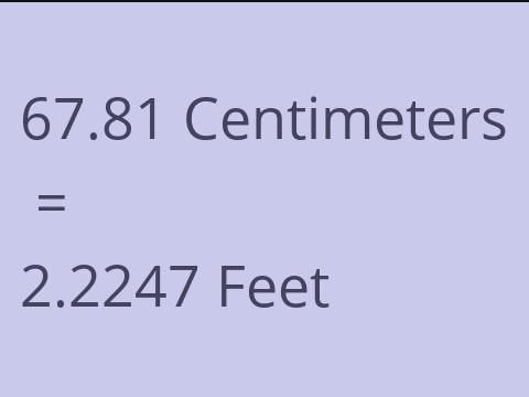 67.81 CM TO FEET