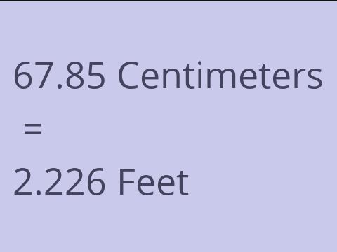 67.85 CM TO FEET