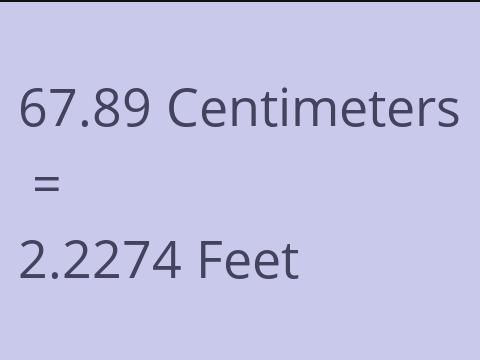 67.89 CM TO FEET