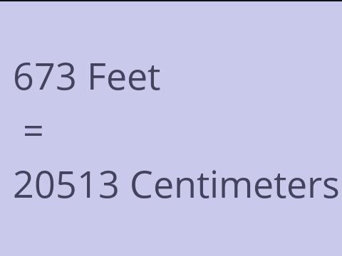 673 FEET TO CM