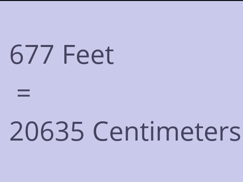 677 FEET TO CM