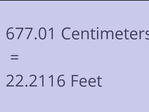 677.01 CM TO FEET