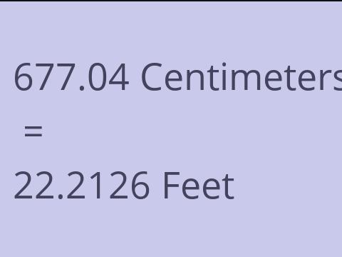 677.04 CM TO FEET