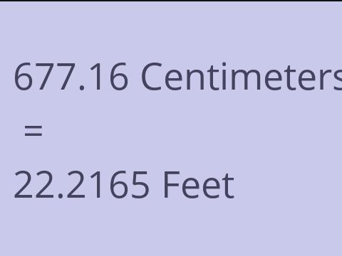 677.16 CM TO FEET