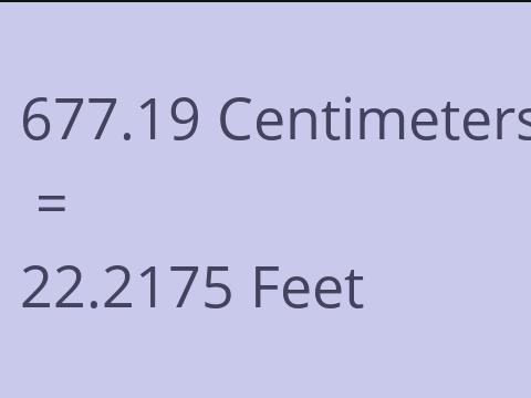 677.19 CM TO FEET