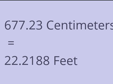 677.23 CM TO FEET