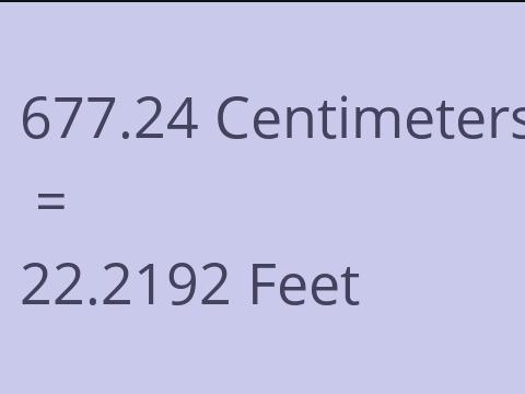 677.24 CM TO FEET