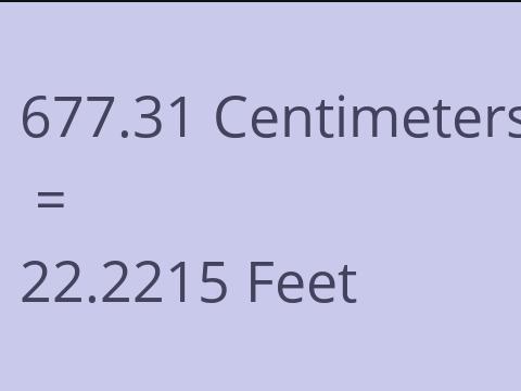 677.31 CM TO FEET