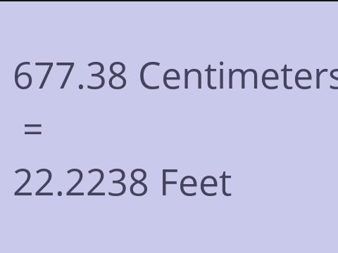 677.38 CM TO FEET