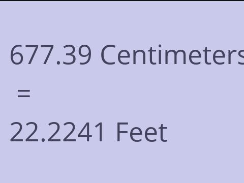 677.39 CM TO FEET