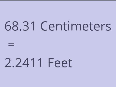 68.31 CM TO FEET