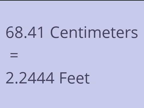 68.41 CM TO FEET