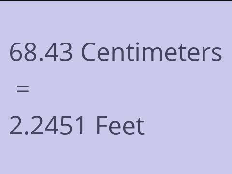 68.43 CM TO FEET