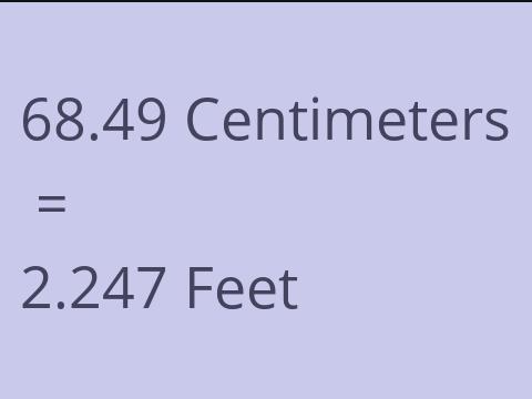 68.49 CM TO FEET