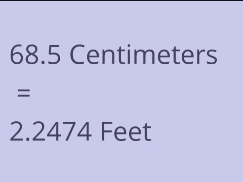 68.5 CM TO FEET