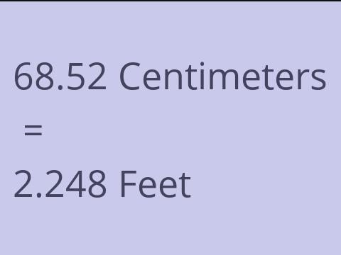 68.52 CM TO FEET