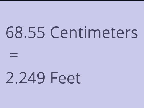 68.55 CM TO FEET