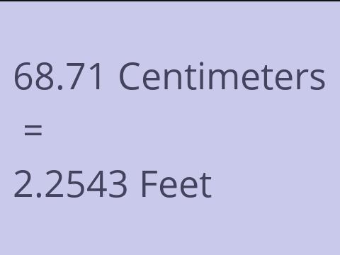 68.71 CM TO FEET