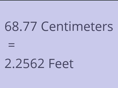 68.77 CM TO FEET