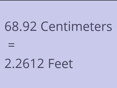 68.92 CM TO FEET