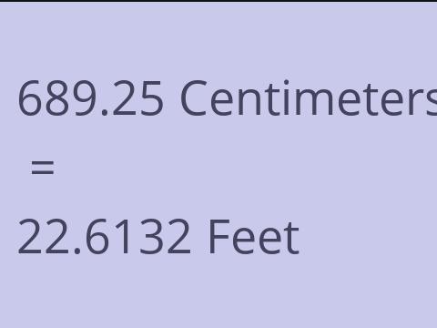 689.25 CM TO FEET