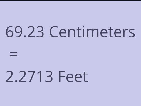 69.23 CM TO FEET