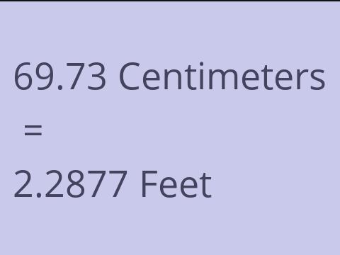 69.73 CM TO FEET