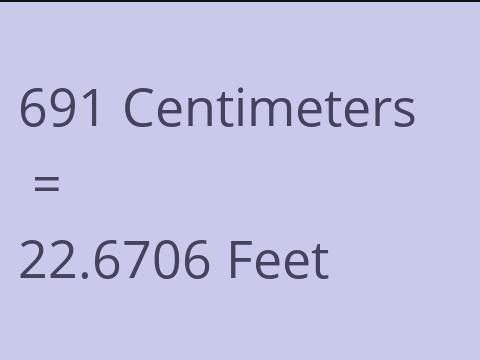 691 CM TO FEET