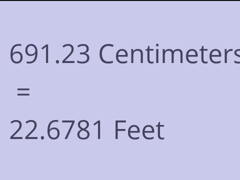 691.23 CM TO FEET