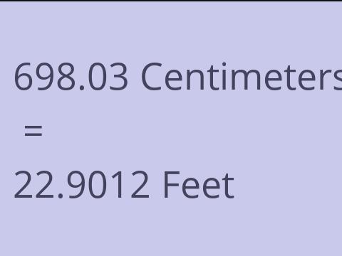 698.03 CM TO FEET