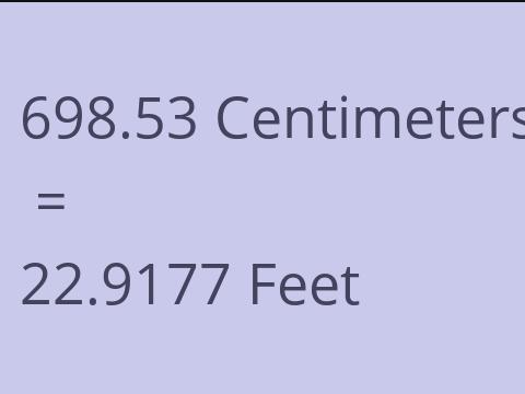 698.53 CM TO FEET