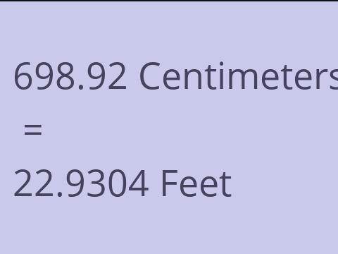 698.92 CM TO FEET