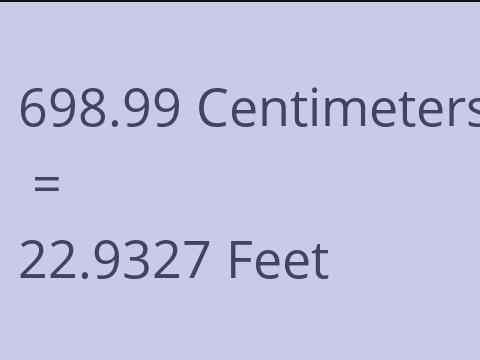 698.99 CM TO FEET