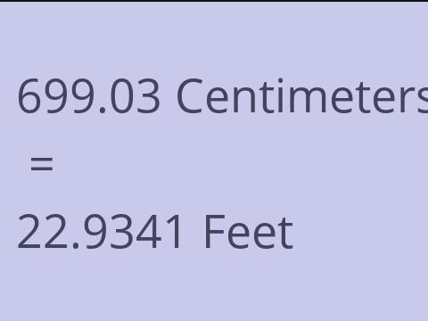 699.03 CM TO FEET